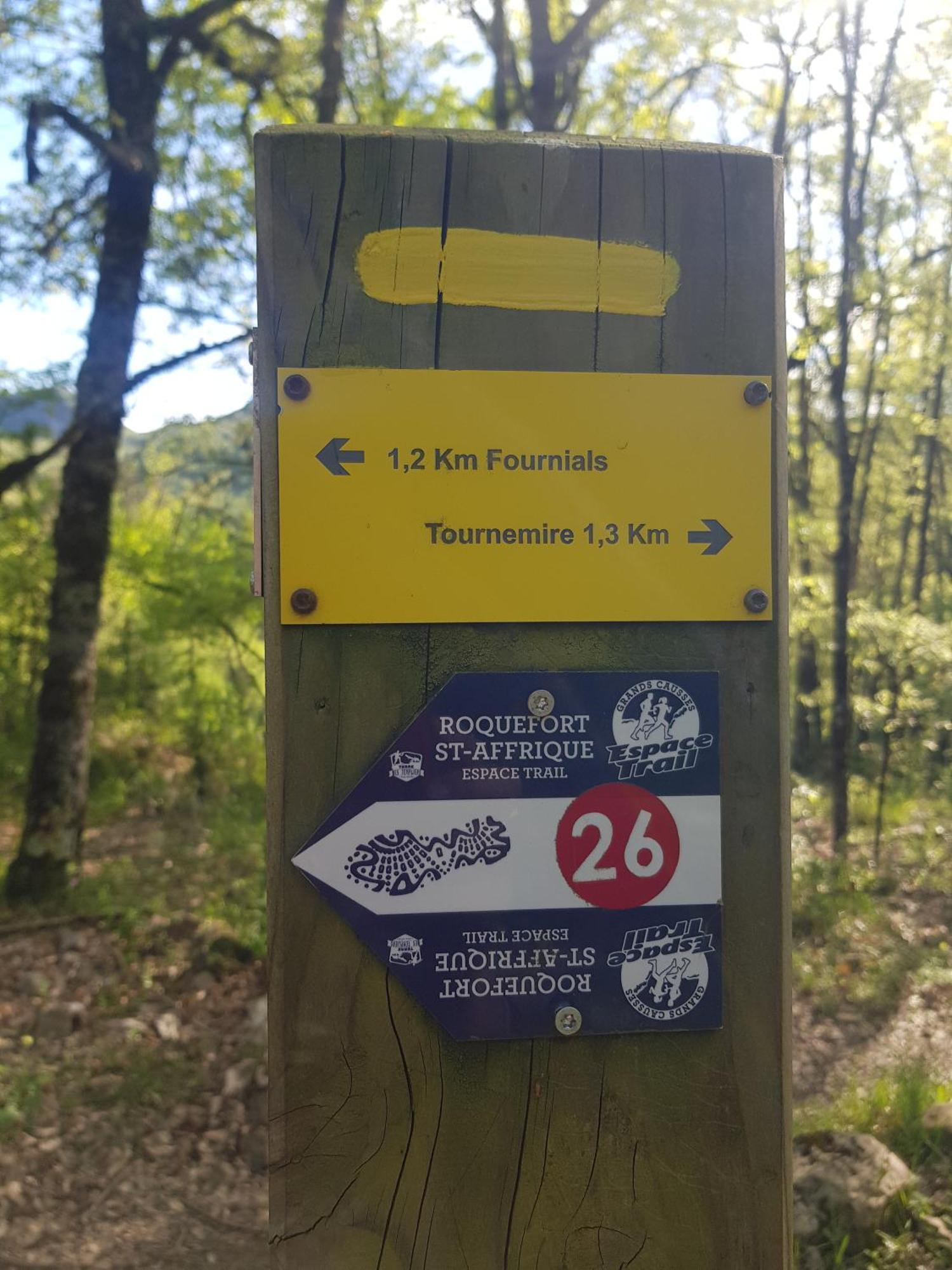 Gite Aux Tourterelles Tournemire  Eksteriør bilde